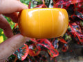 Extra Wide Vintage 1.5" Goldenrod Bakelite Bracelet! Thin Vertical Carvings!!