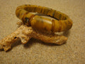 Vintage 1/2" Bakelite "Bamboo" Bracelet! Dark Mustard Yellow w/ Green Marbling!