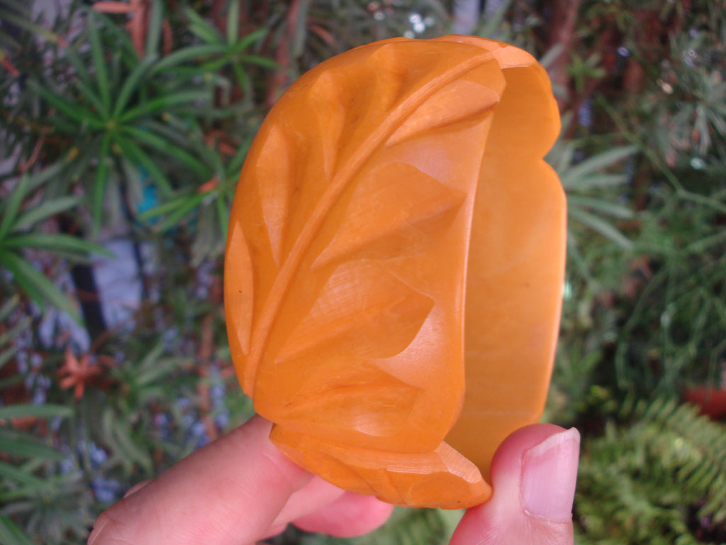 Vintage 1 3/8" Goldenrod Bakelite Bracelet, Two Flowers with Vine & Leaf Carvings